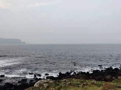 -涉地可支