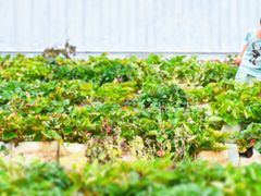 -昆明春城湖畔度假村