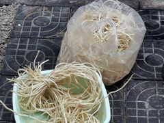 -二漭的洋芋店(总店)