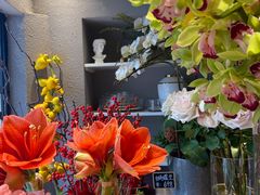-FEI FEI FLOWER鲜花店·气球派对·宝宝宴布置(虹口德必运动Loft店)
