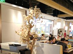 -九毛九西北菜(百信广场店)