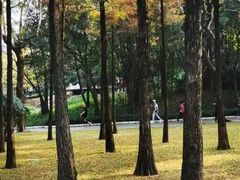 -晓港公园