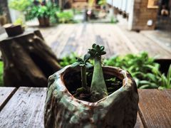 -观清澜疗愈民宿(龙泉山风景区店)