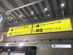 -谢列梅捷沃国际机场