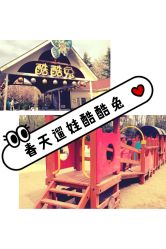 -酷酷兔少儿拓展天地
