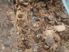 -黑金·寻焰自助百汇·烤肉·火锅(中街店)