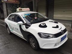 -都江堰中华大熊猫苑
