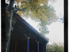 -潭柘寺景区