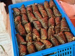 -金太粽(上海弄堂第一粽店)