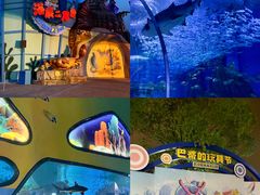 -海合安武汉极地海洋公园