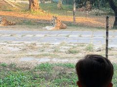-深圳野生动物园