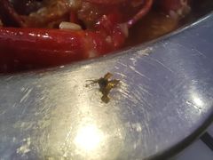 -不夜天烧烤牛骨头(南湖店)
