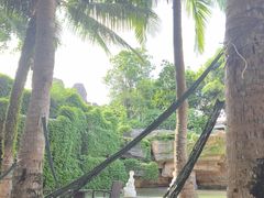 -海口观澜湖火山温泉谷