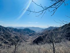 -大岭沟猕猴桃谷风景区