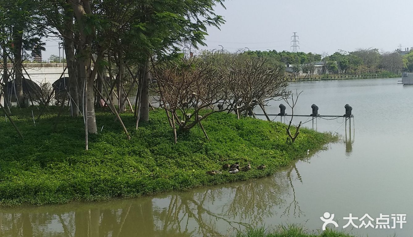 中山古镇文化生态湿地公园