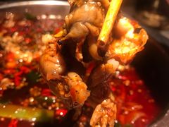 -宽口美蛙鱼头(大唐西市店)