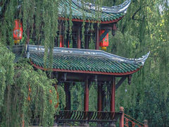 -棠湖公园