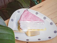 薰衣草千层-拾壹cafe·工作室