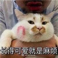 -达美乐比萨(通州店)