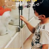 猫猫🐱狗狗🐶，更爱哪个？