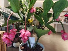 -银泰百货(海宁店)