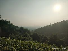 -火炉山森林公园