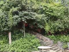 -西华公园