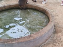 -昆明动物园