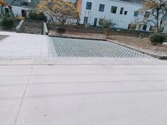 -老袁家蜜桃农场·阳山水蜜桃