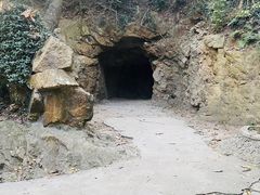 -上海佘山国家森林公园天马山园