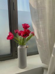 -安那般那皮肤年轻化ANAPANA