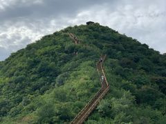 -大岭沟猕猴桃谷风景区