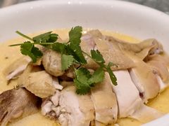 清香鸡-骏丰酒楼(黄编店)