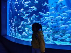 -成都浩海立方海洋公园