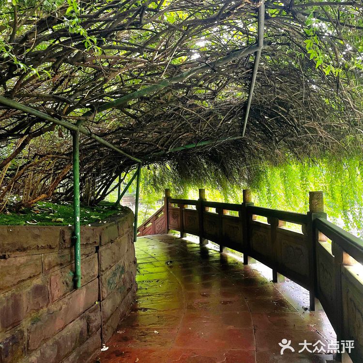 成都活水公园｜悄悄咪咪告诉你出片巨好看🧸