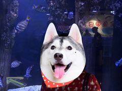 -成都浩海立方海洋公园