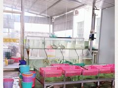 -田源农家饭店·窑鸡王·海鲜(东部湾·融创店)
