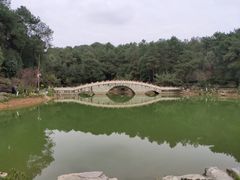 -铁山坪森林公园