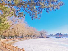 -长春市南湖公园