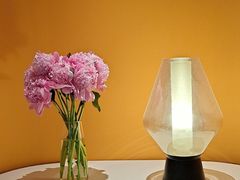 -阿妮叶李(光谷世界城店)