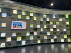 -盐城丹顶鹤湿地生态旅游区