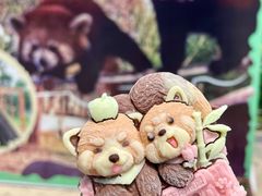 -合肥野生动物园