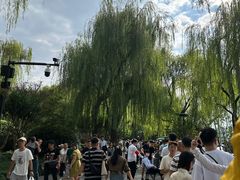 -西湖游船
