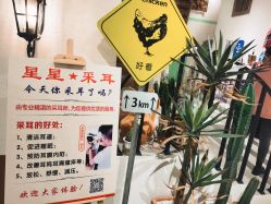 -好看加白色房子