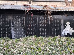 -东方巨龟苑景区