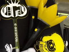 -宝能国际体育演艺中心