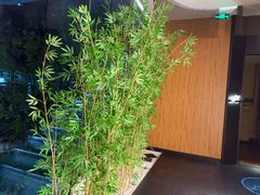 -新紫霞养生·影院足道·SPA(金山区店)