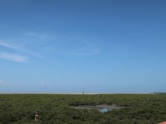 -北海金海湾红树林生态旅游区