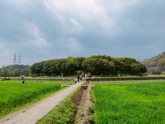 -八卦田遗址公园