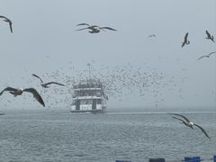 -海驴岛(荣成市)